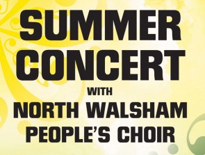 Summer Concert poster